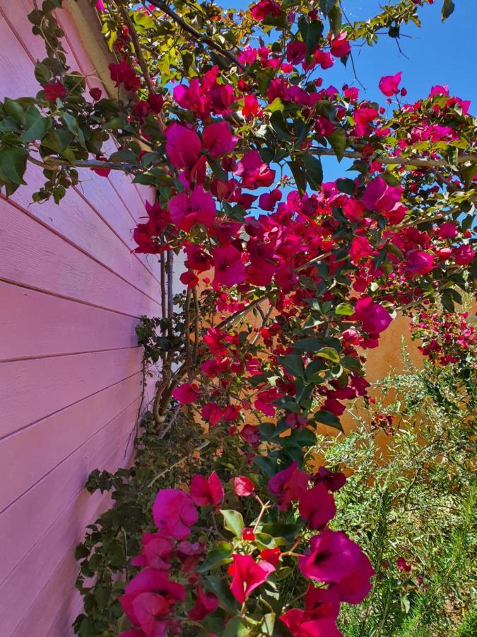 Sa Mariposa Bed & Breakfast Muravera Bagian luar foto