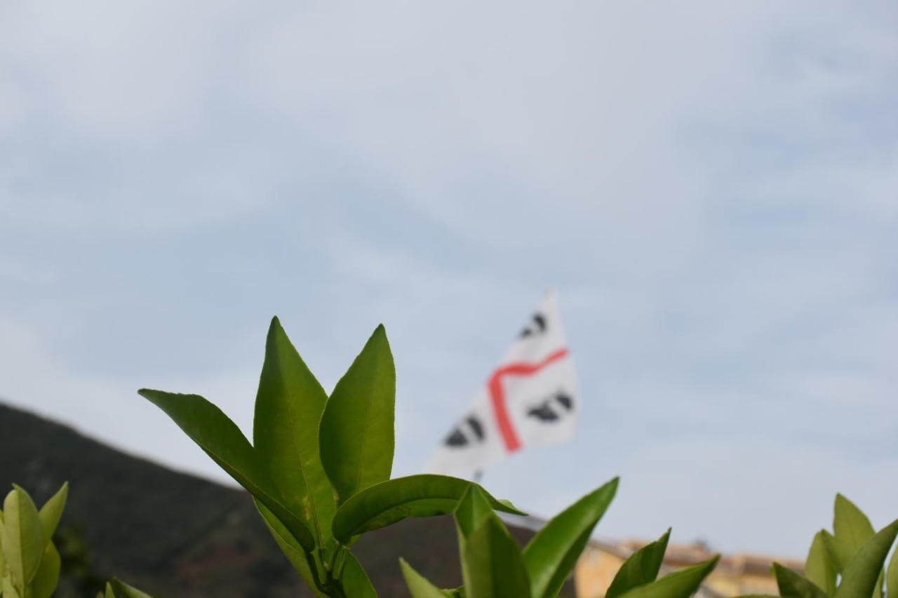 Sa Mariposa Bed & Breakfast Muravera Bagian luar foto